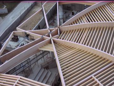 images/gallerie/palestra_pove/tetti_in_legno_trend10.jpg