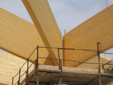 images/gallerie/palestra_pove/tetti_in_legno_trend121.jpg