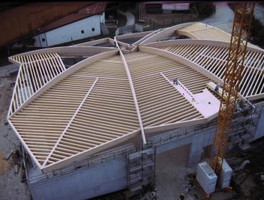 images/gallerie/palestra_pove/tetti_in_legno_trend6.jpg